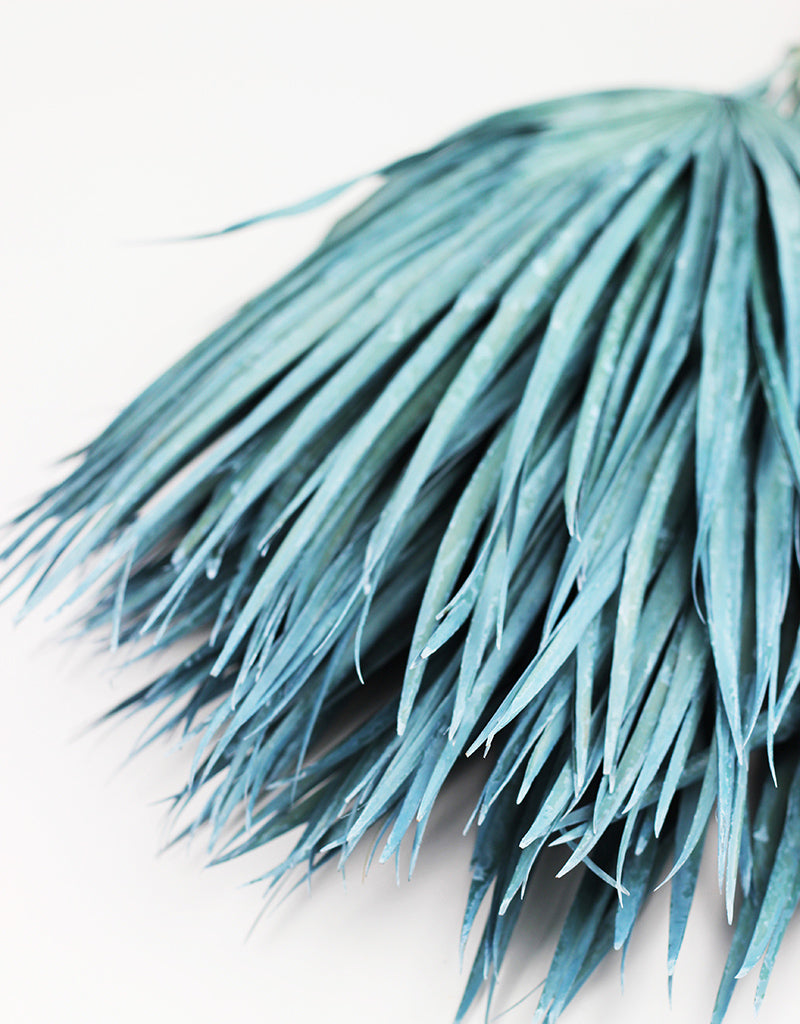 Blue palm leaves