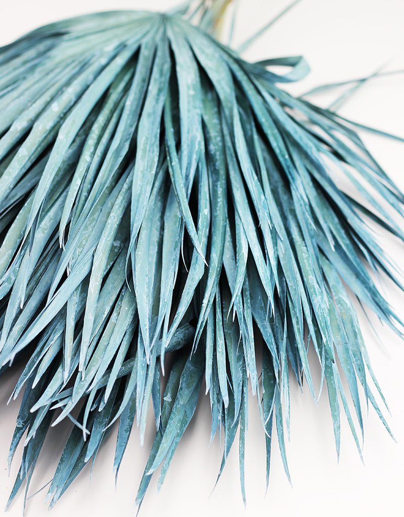 dried palm leaves