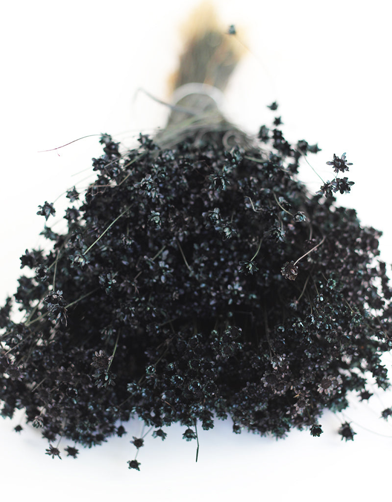 Black Dried Flowers