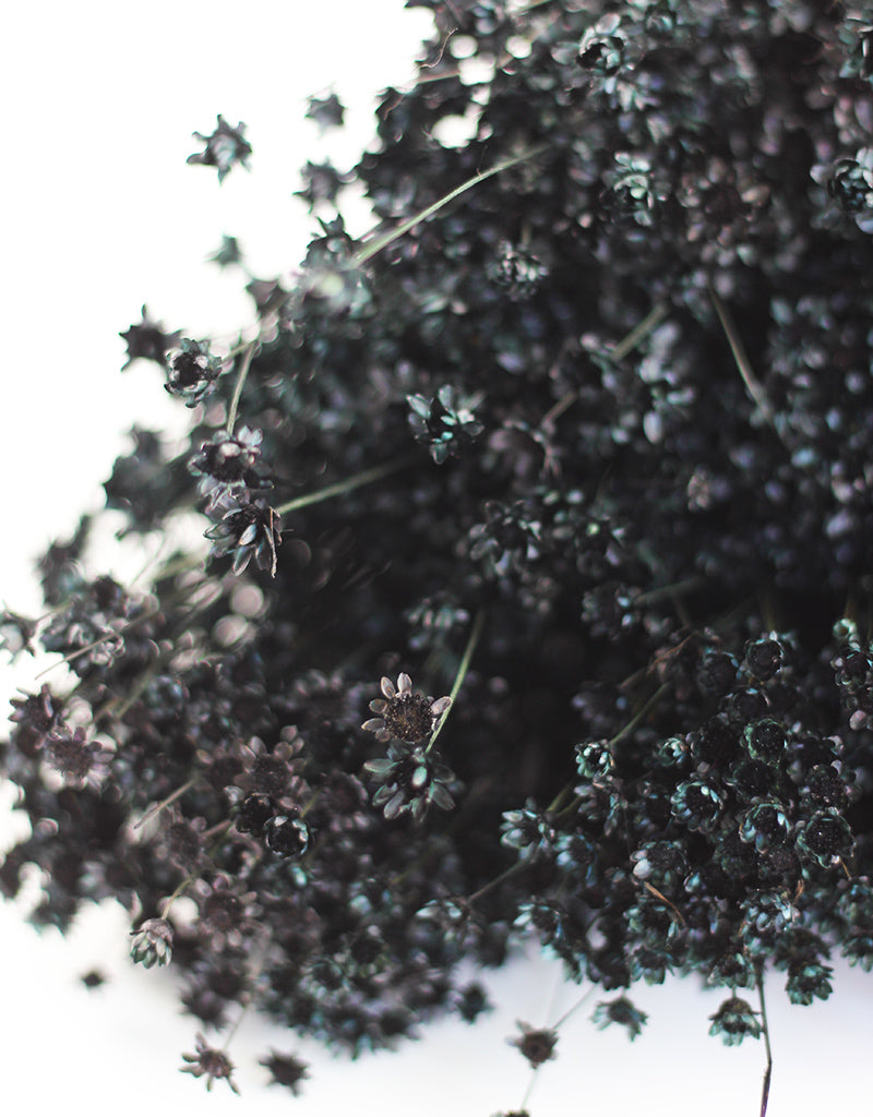 Black Flowers