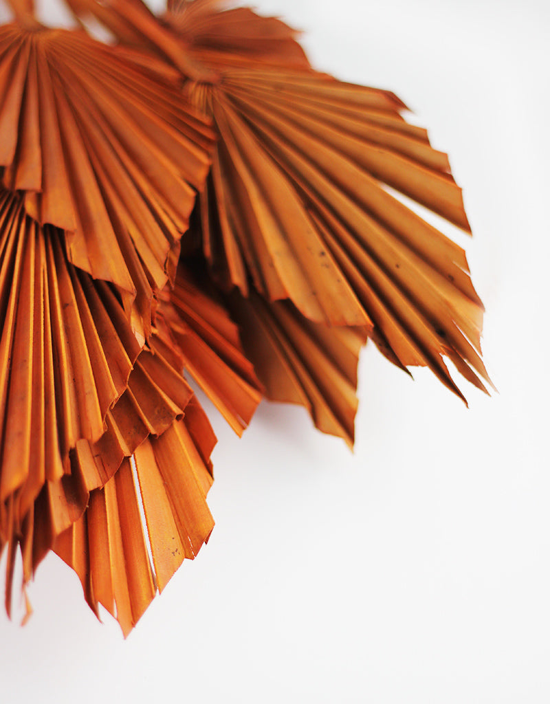 Wholesale Dried Palm Spears