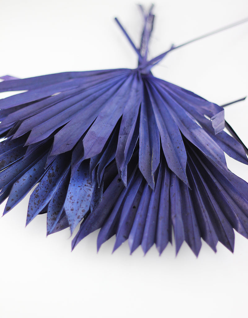 dried palm leaves