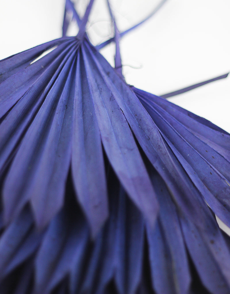 Blue sun palms