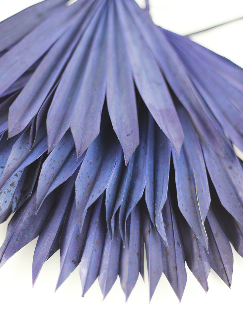 Blue Palm Leaves