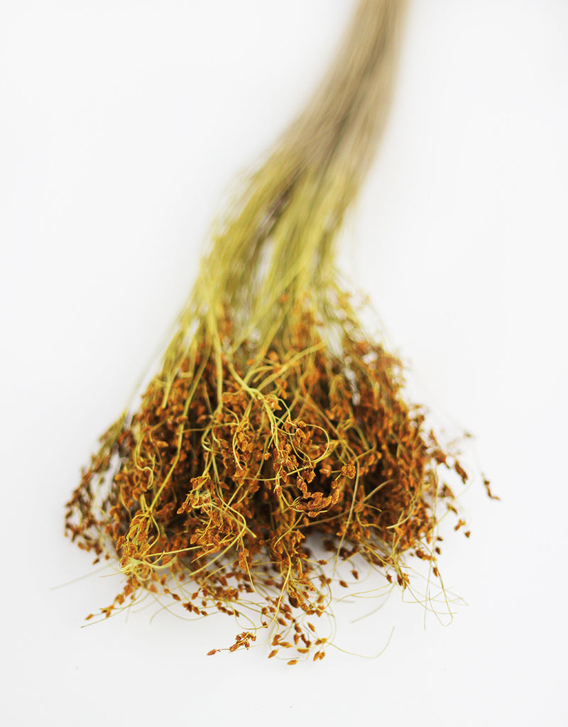 Dried Sai Thong