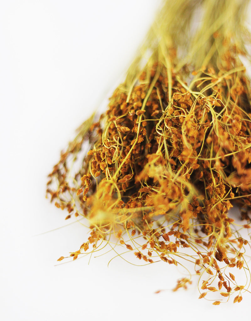 Wholesale Dried Sai Thong