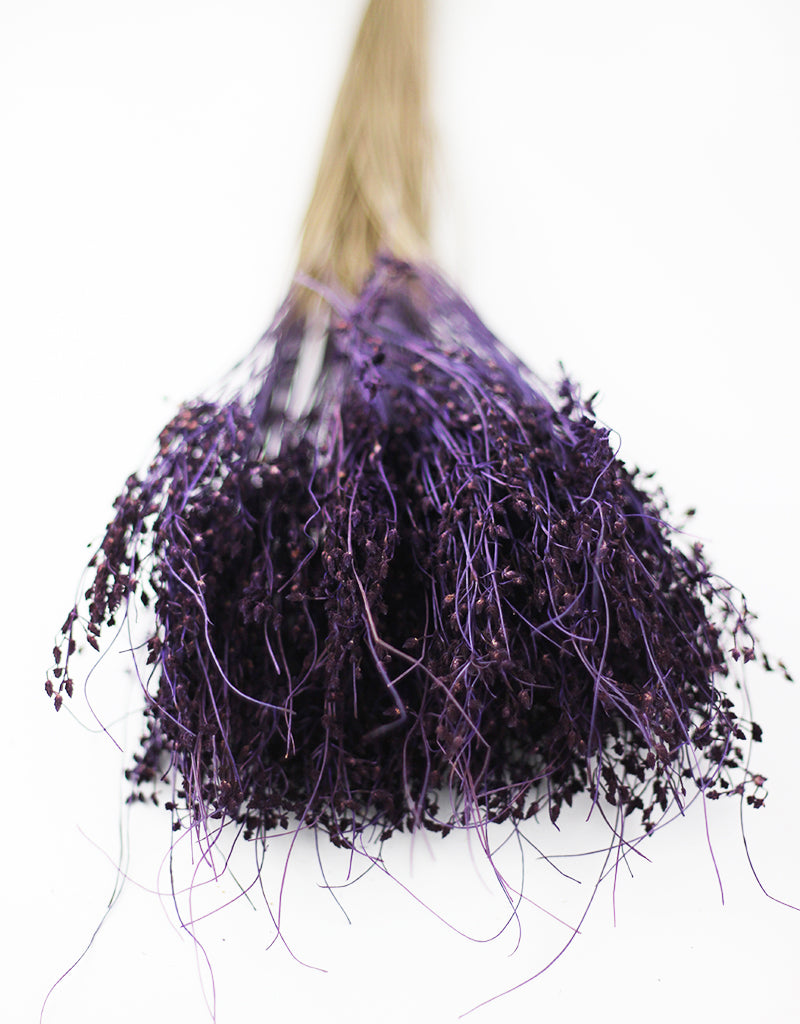 Purple Dried Sai Thong Bunch