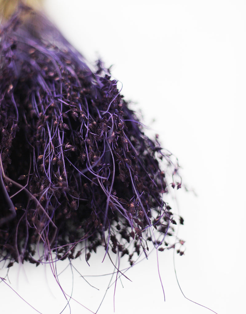 Purple Dried Flowers UK