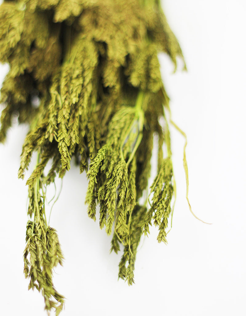 Green Dried Flowers