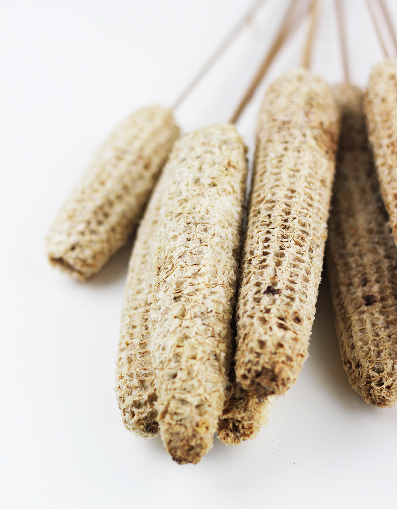 Natural dried flowers