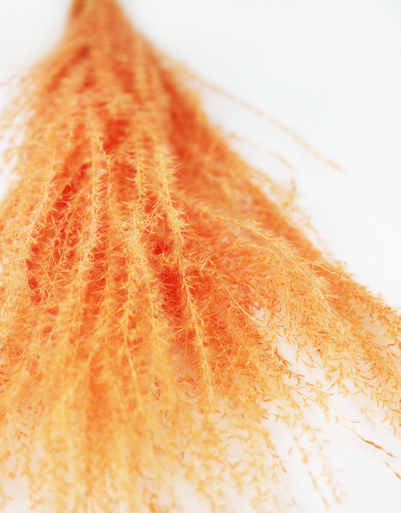 Wholesale Peach Dried Flowers