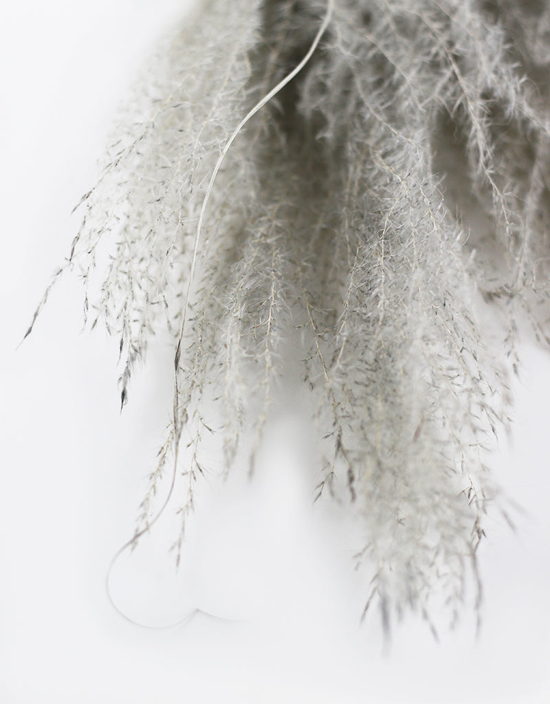 Grey Dried Stipa Feathers