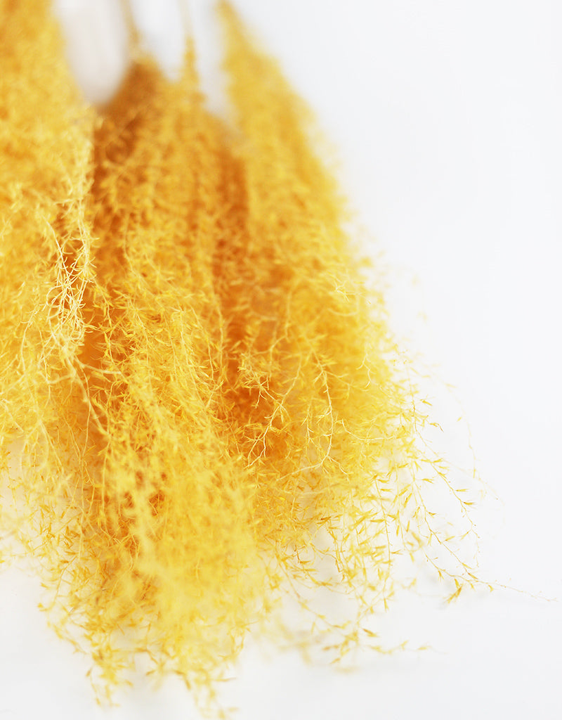 Wholesale Dried Flowers
