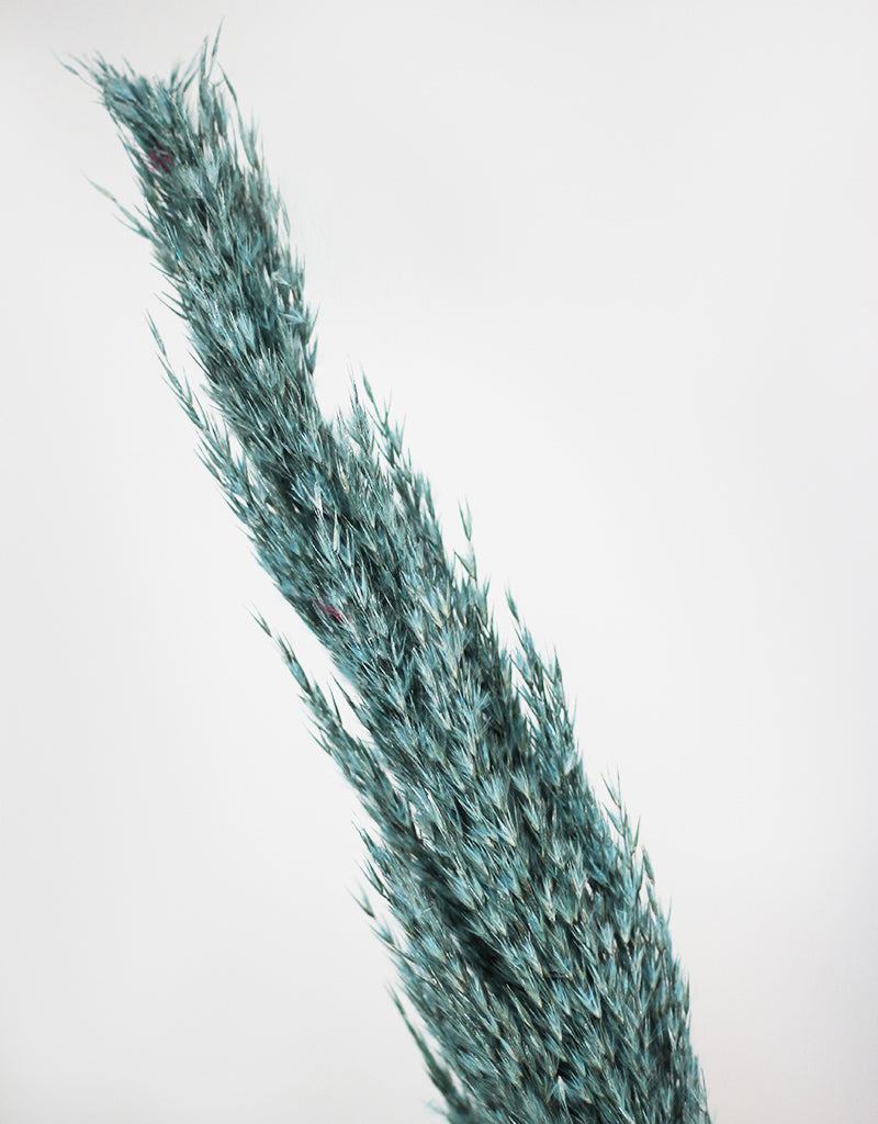 blue pampas grass decor