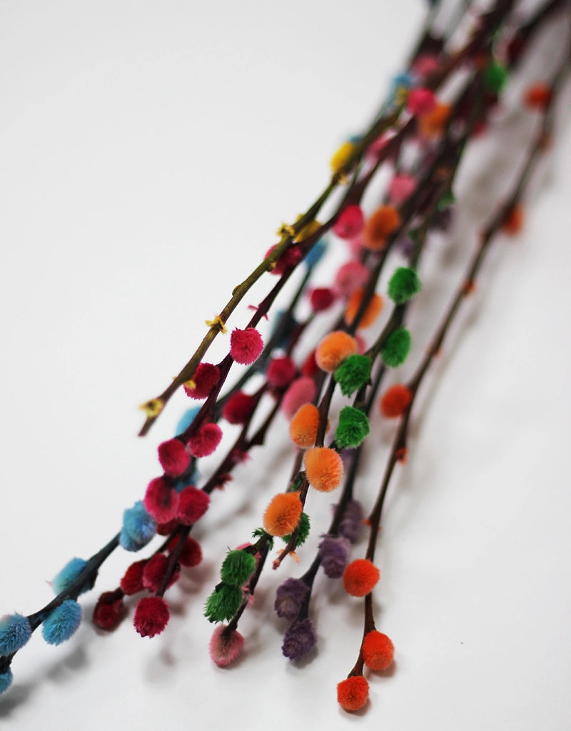 dried rainbow flowers