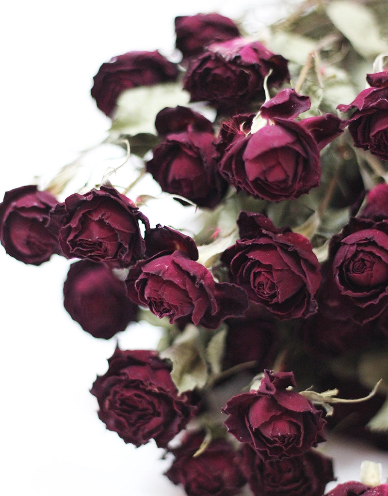 Dried Spray Roses Burgundy Red Flowers Bunch - 10 stems, 70cm