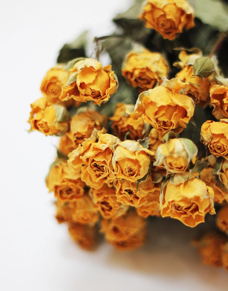 Dried Spray Roses - Yellow Bunch, 50 cm