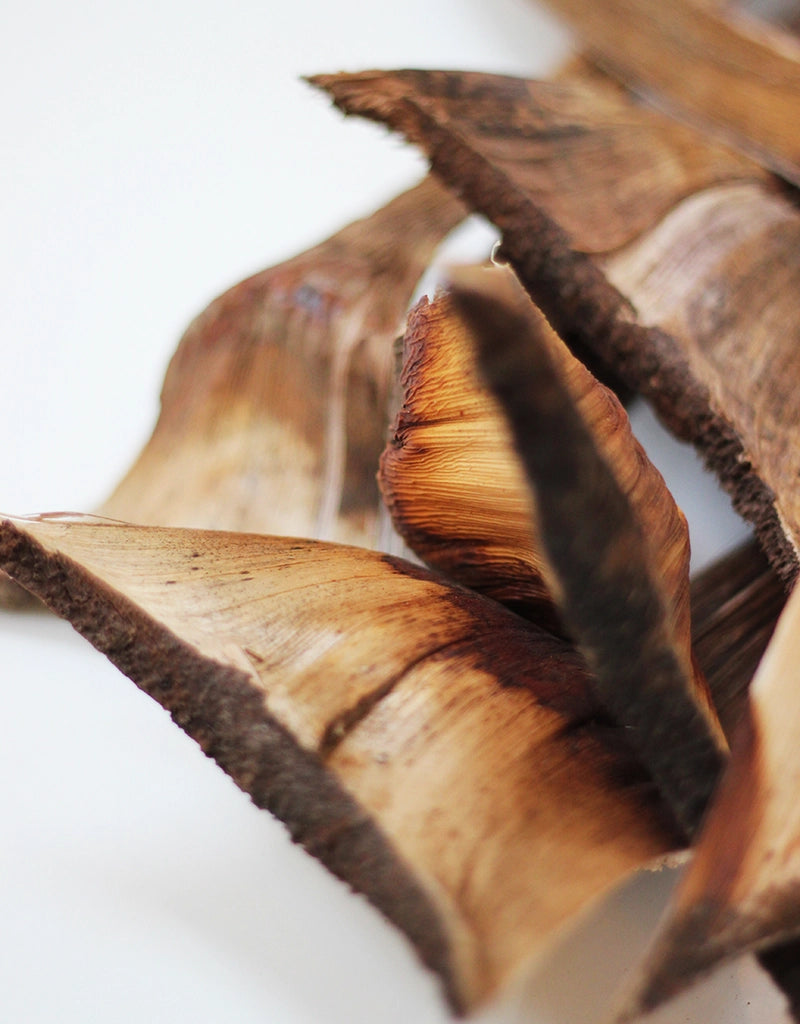 Dried Wooden Bark - Natural, x5
