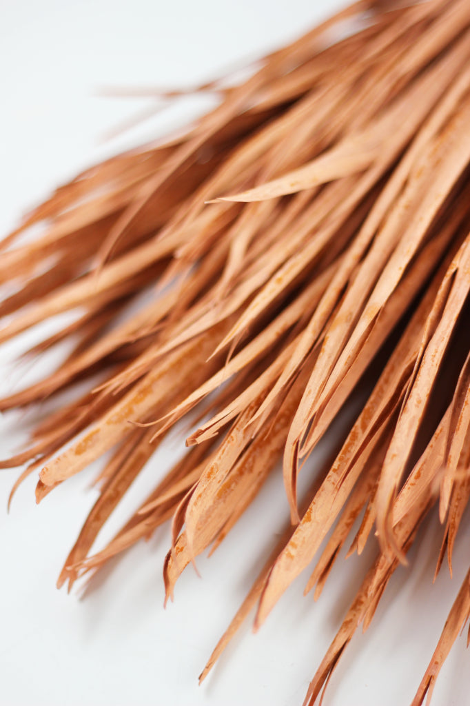 dried palms