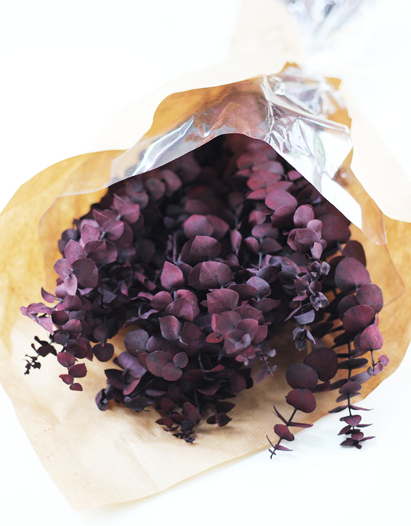 Preserved Baby Blue Eucalyptus