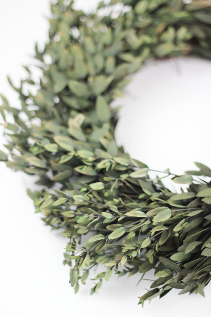 Eucalyptus Parvifolia Wreath