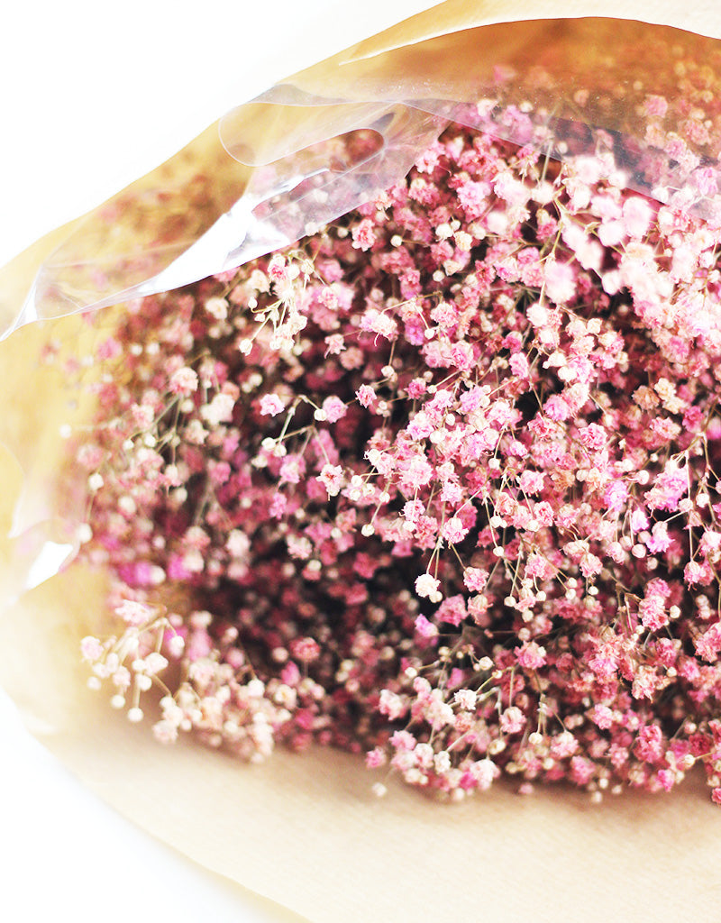 Preserved Gypsophila Flowers 