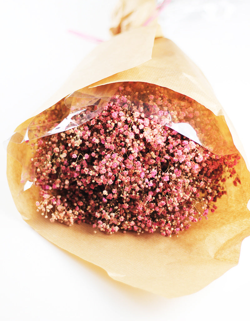 Preserved Gypsophila Flowers