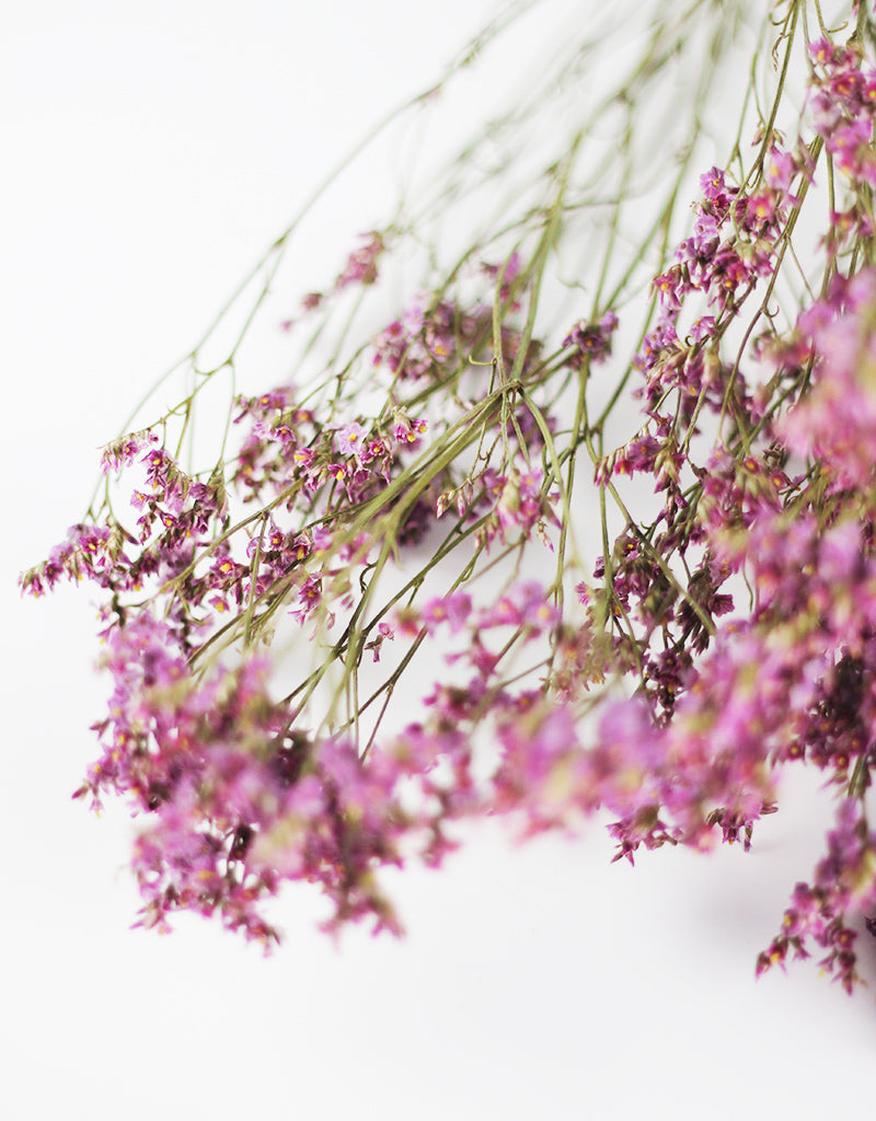 Purple Dried Limonium