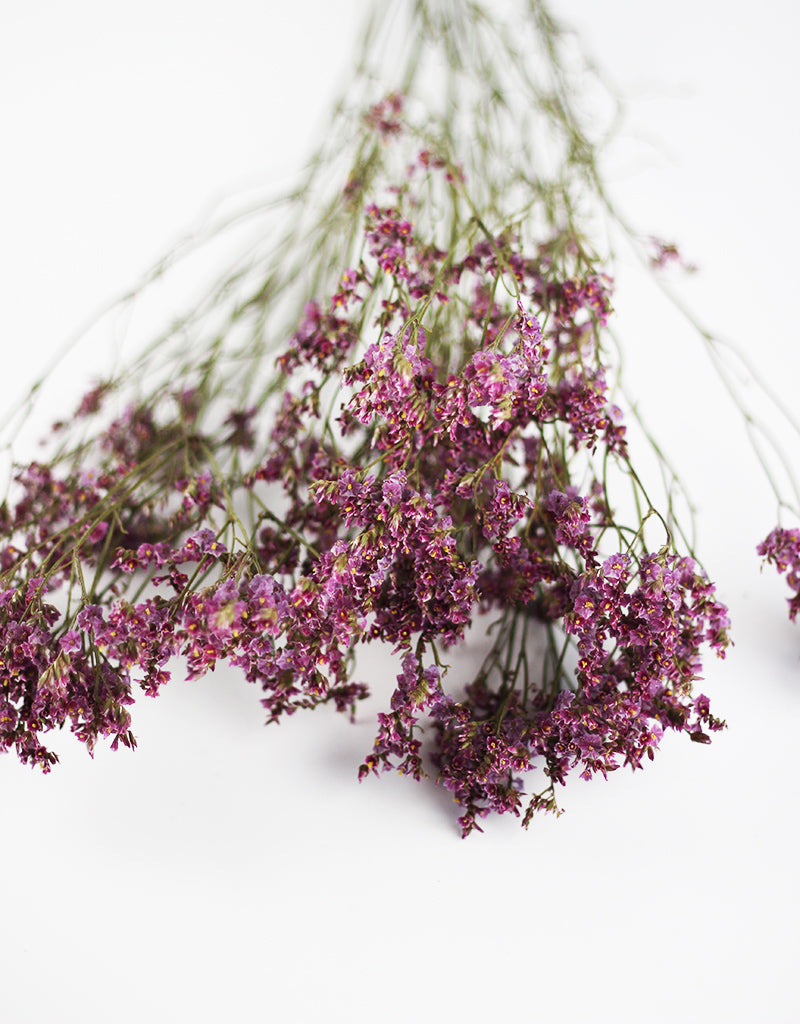 Purple Dried Limonium flowers bunch