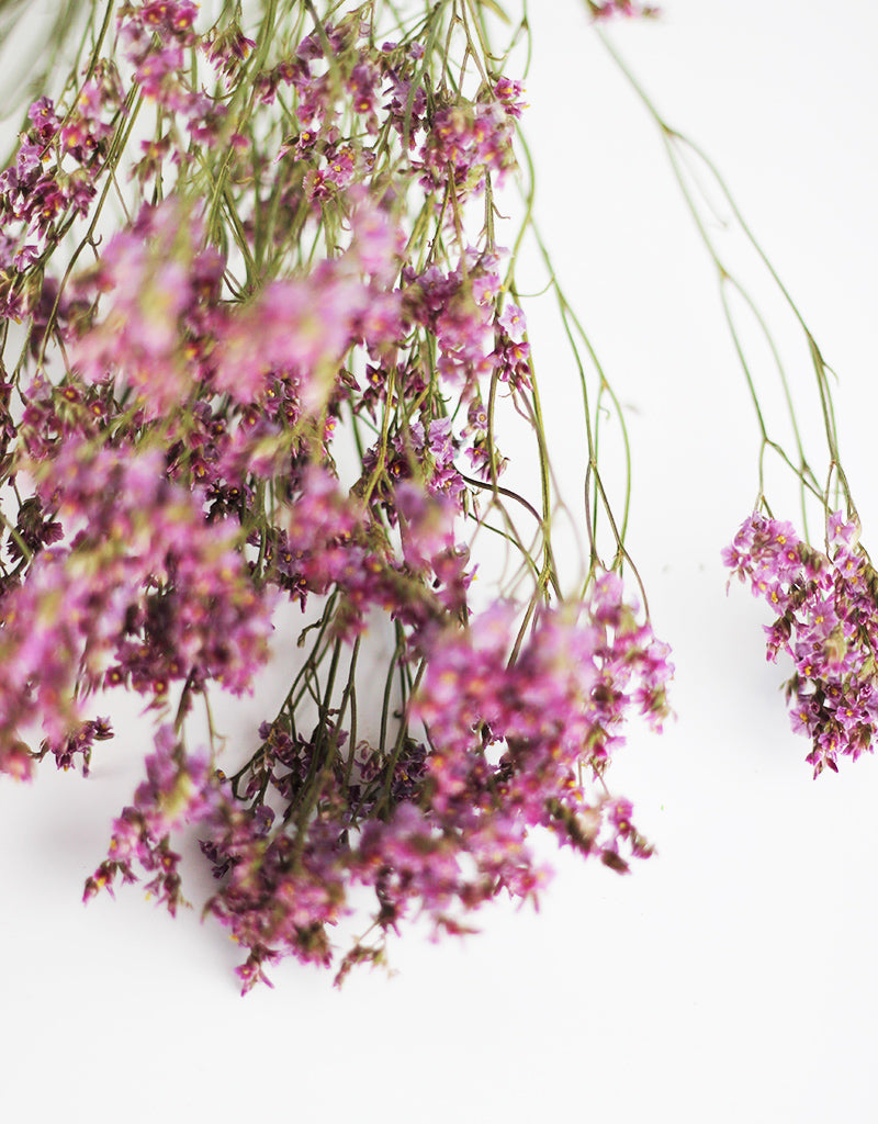 Dried Limonium flowers bunch
