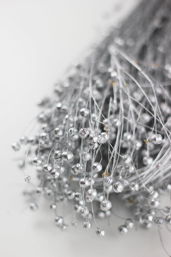 Silver Dried Flowers