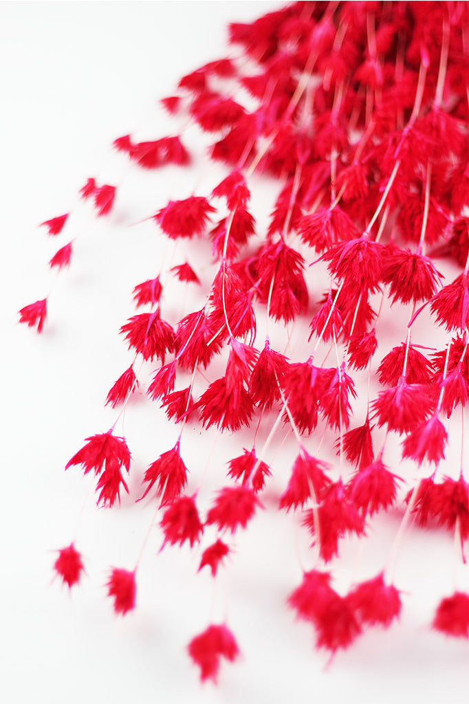 Dried Weeping Bamboo bunch