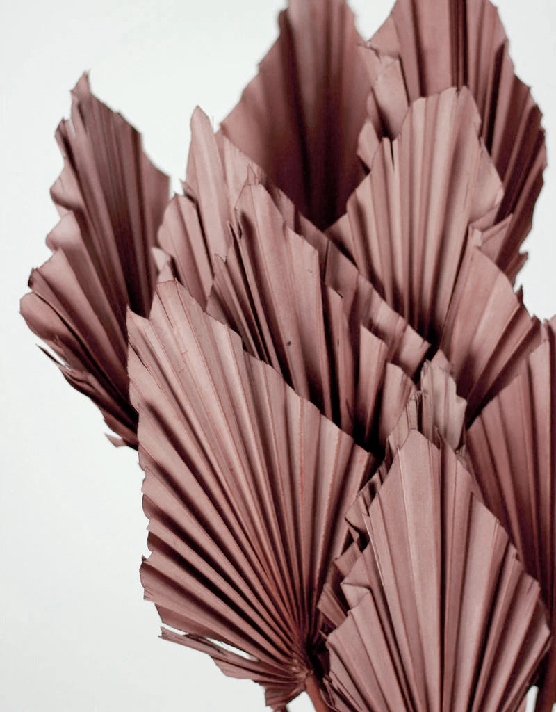 Dried Palm Spears