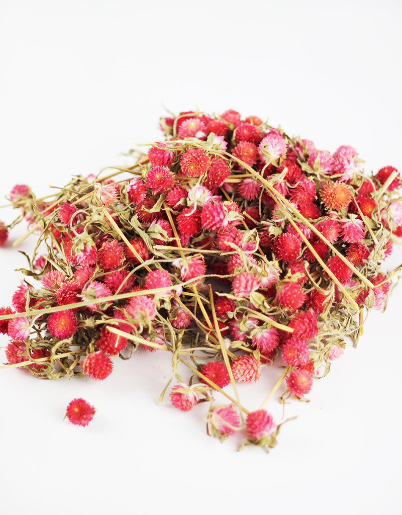Gomphrena Heads