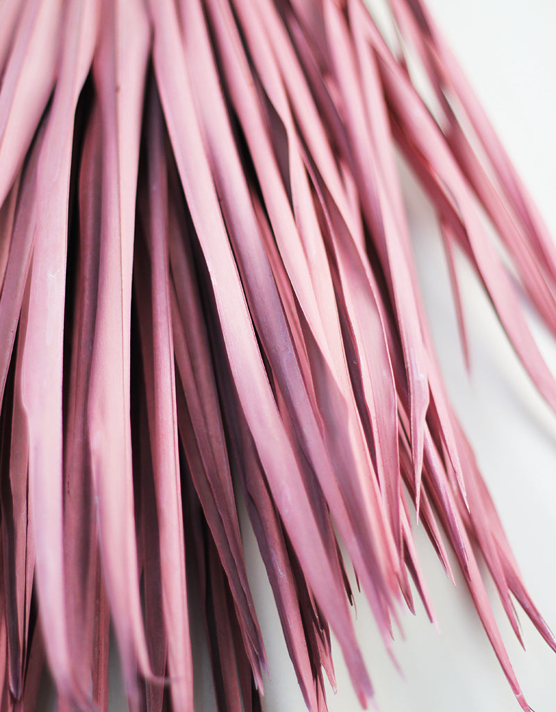 Large Dried Chamaerops Palm - Baby Pink, 8 Stems, 75 cm