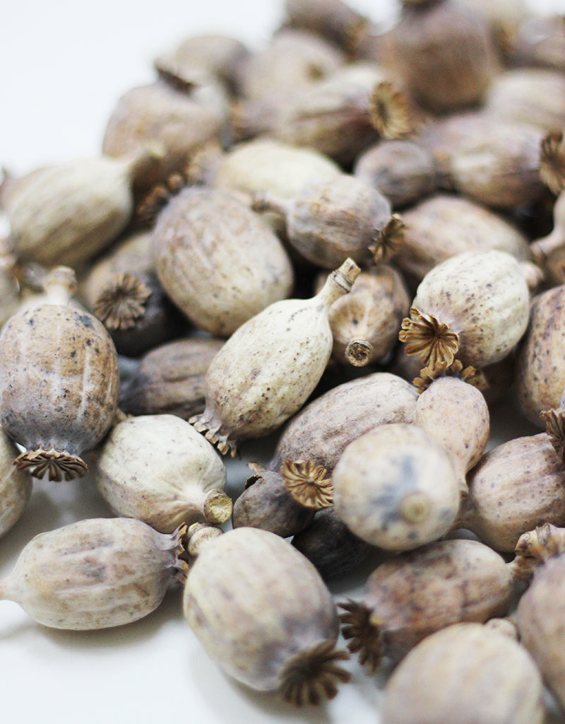 wholesale poppy heads