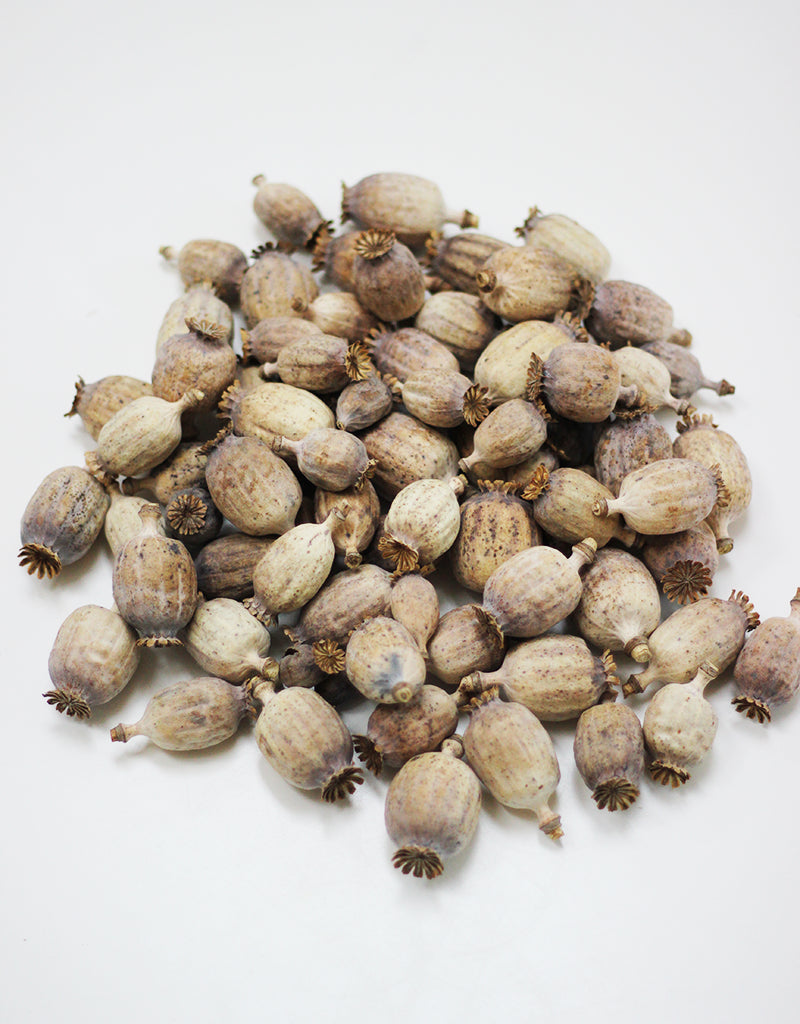 poppy heads