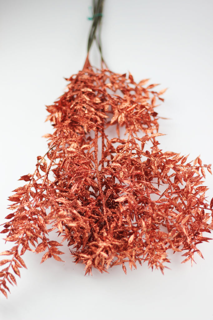 Dried Ruscus Bunch - Glitter Copper, 5 stems, 70 cm