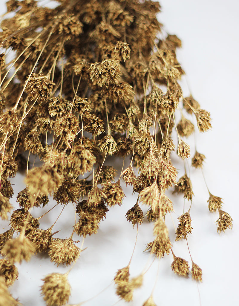 Golden Flowers