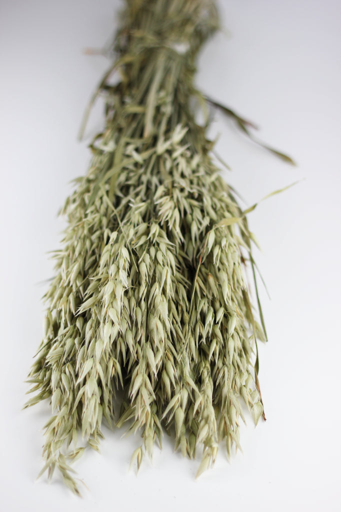oat bunches