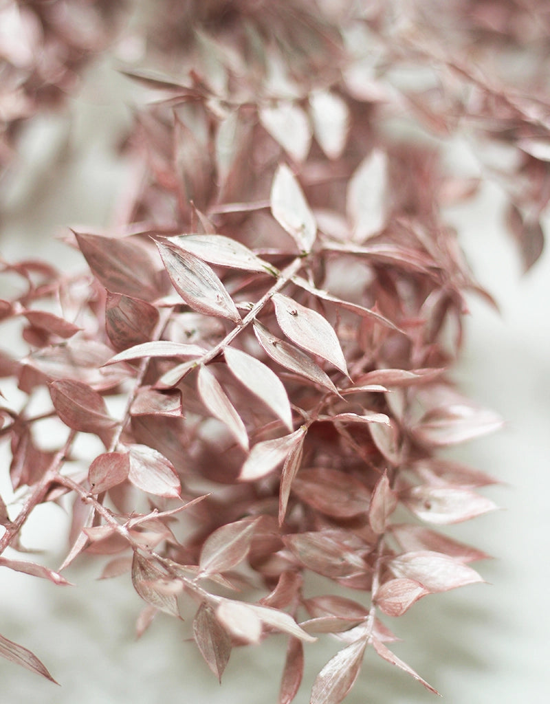 Pink Flowers
