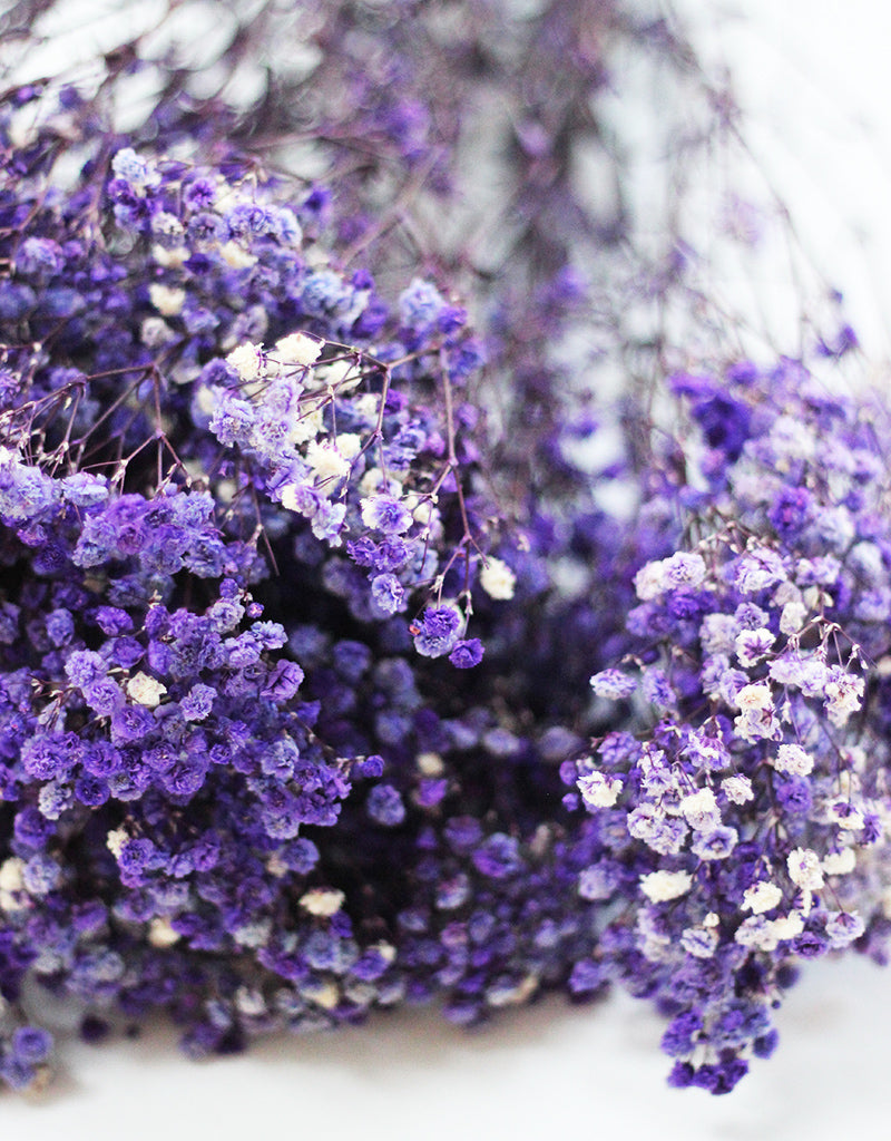 Preserved Gypsophila bunch
