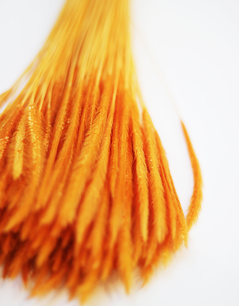 wholesale Dried Silk Worm flowers
