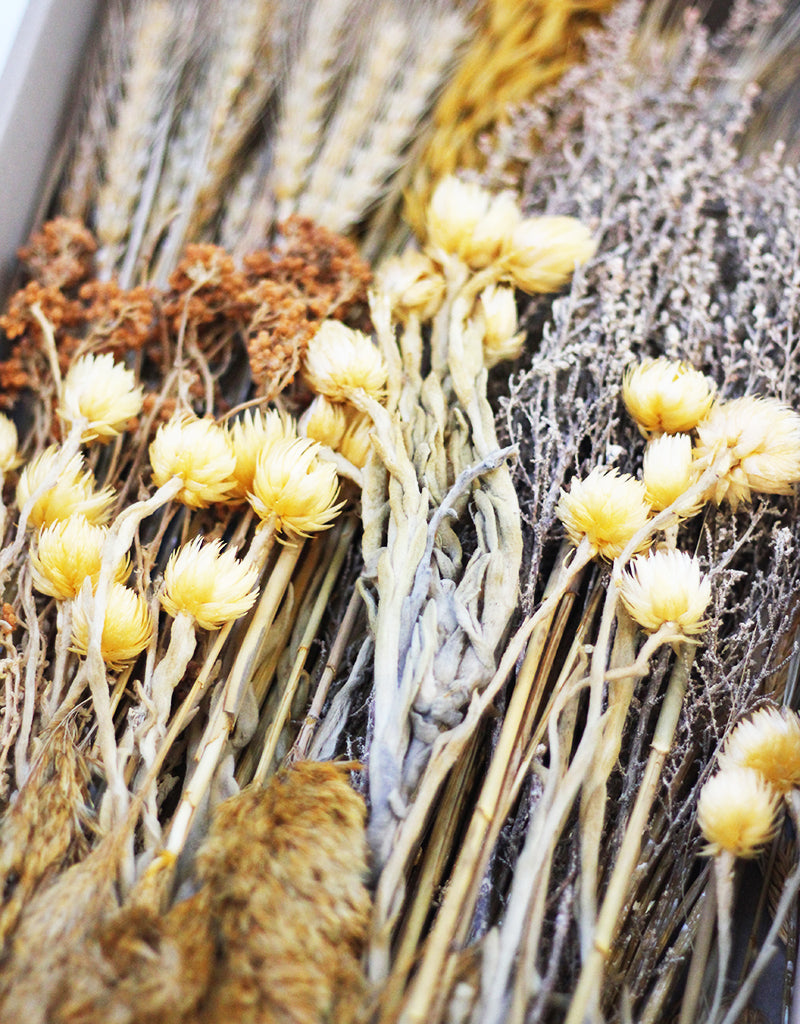 wholesale dried flowers mix