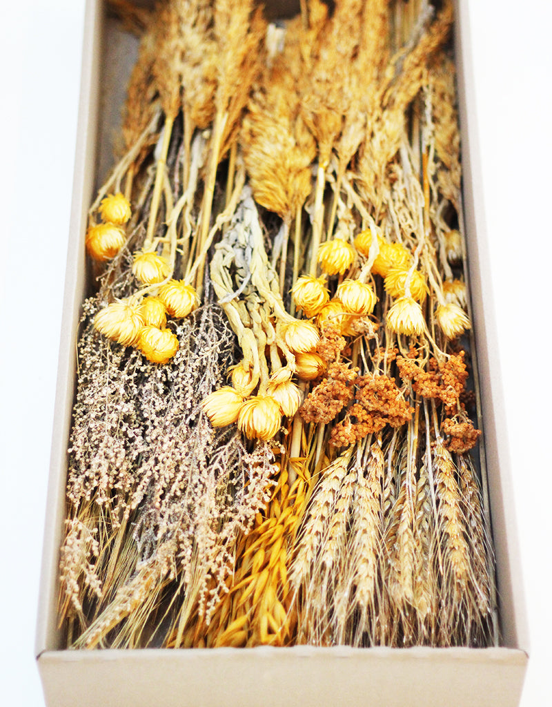 wholesale Dried Flower Selection Box