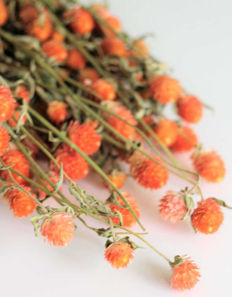 orange flowers bunch