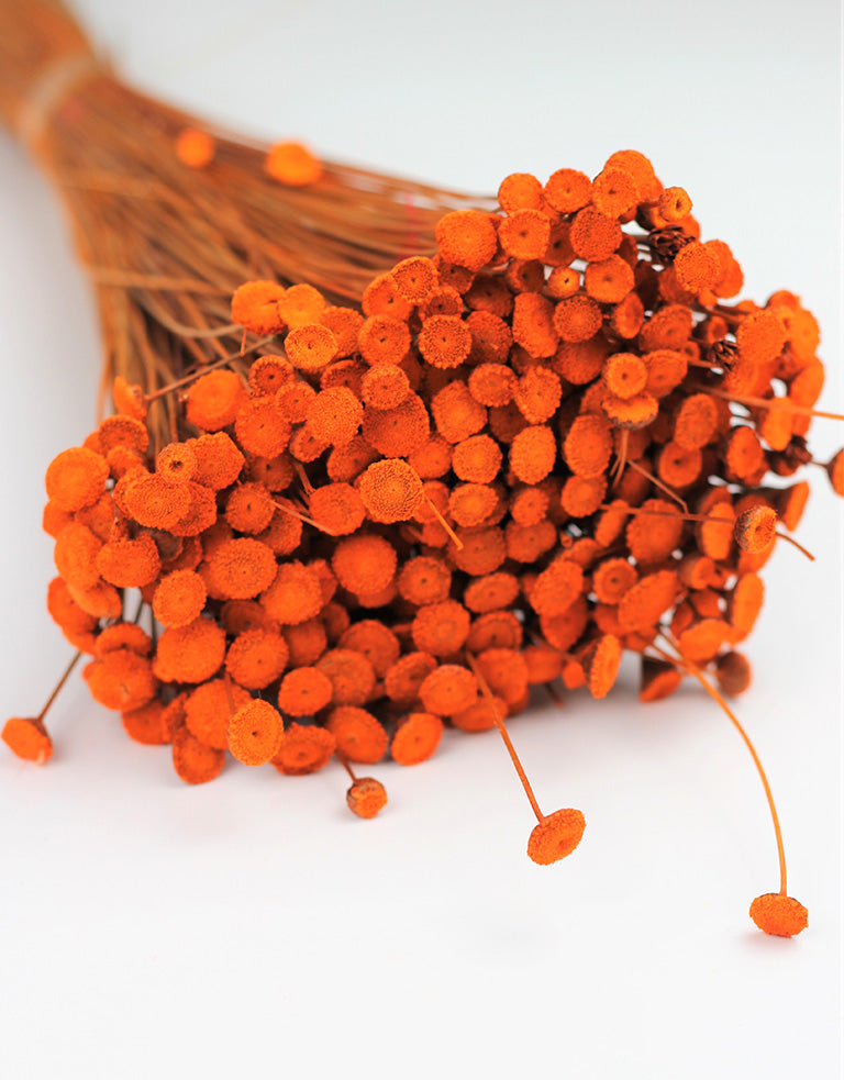 Orange Batao