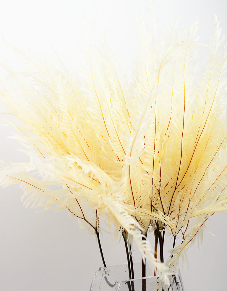 Preserved Umbrella Fern