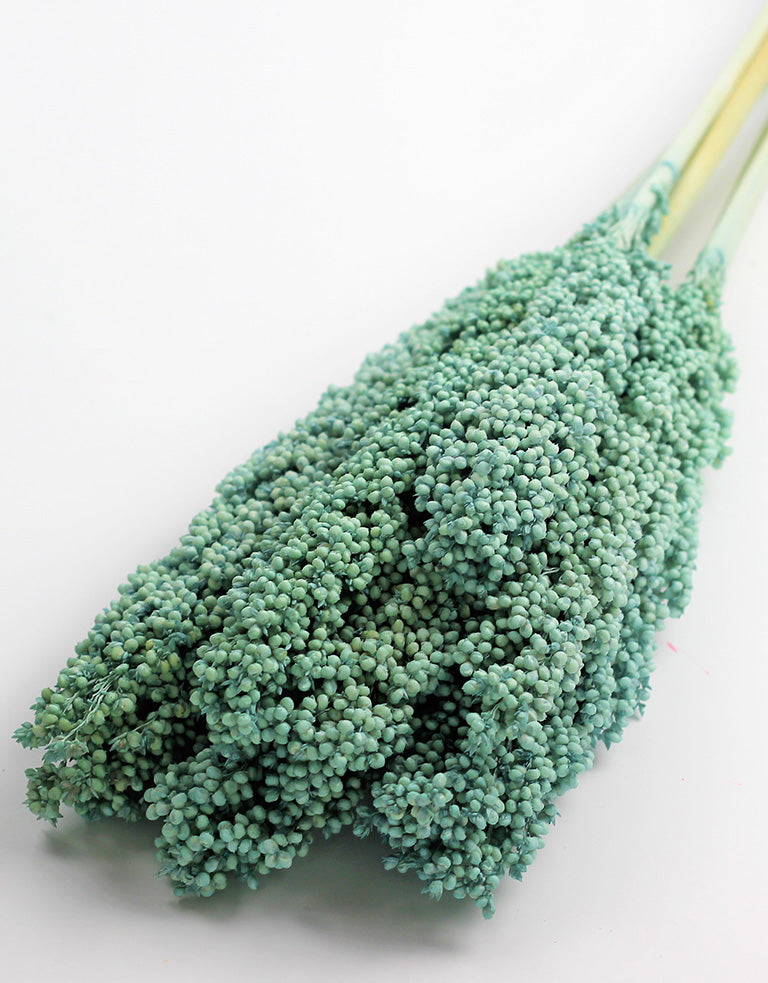 Dried Sorghum bunch