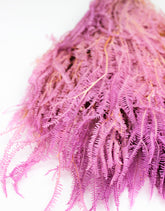 Preserved Helecho, Lilac Bunch
